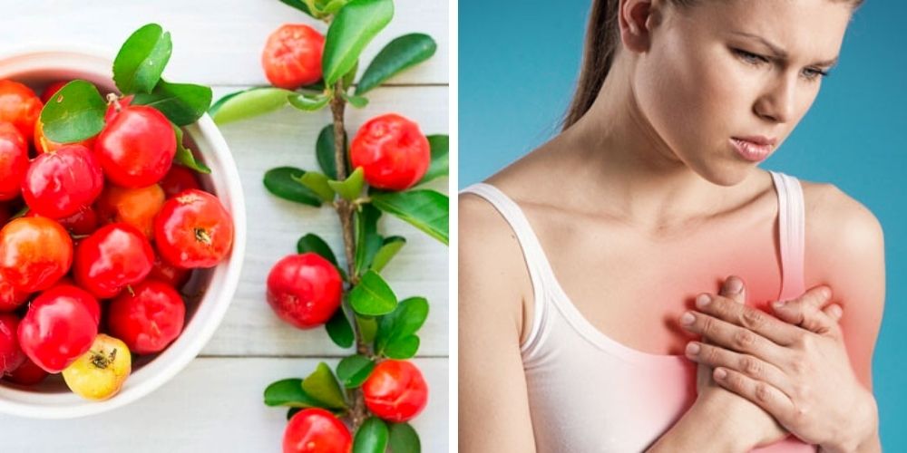 que-es-la-acerola-propiedades-usos-medicinales-salud-movidatuy.com