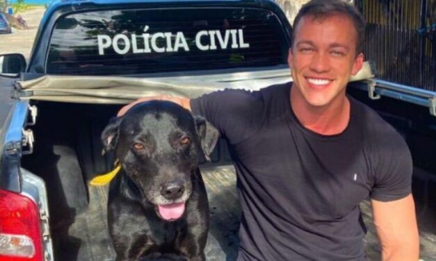 ✌️ La Policía rescata a perrito que fue obligado por veterinarios a donar sangre ✌️