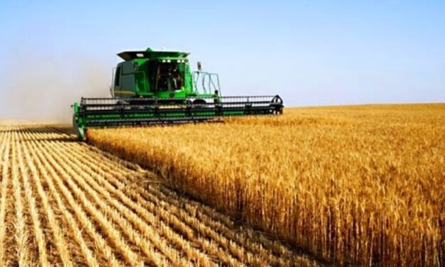 Se prevé falta de producción de lo necesario en el sector primario