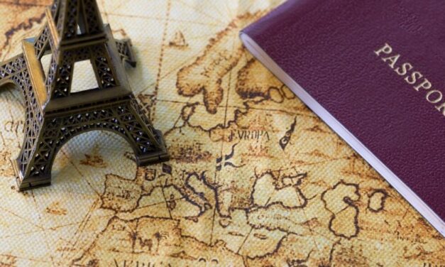 ✅ ¿Cómo obtener una visa de trabajo en Francia?	✅