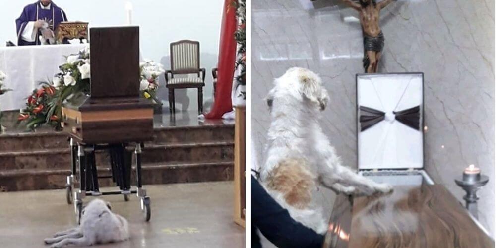 perrito-permanece-fiel-a-su-dueño-fallecido-durante-todo-su-funeral-pepo-movidatuy.com