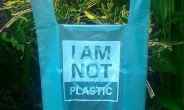 ✌️ Crean nuevas bolsas a base de yuca que son biodegradables y ayudan al medioambiente ✌️
