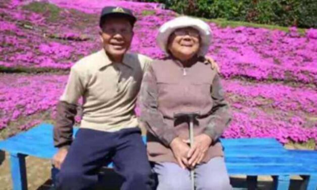 ✌️ Este hombre plantó muchas flores diariamente para hacer un jardín para su esposa ciega ✌️