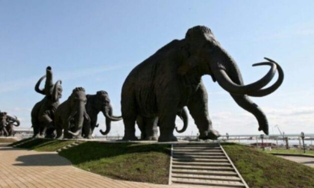 ✌️ Inician proyecto que busca revivir al extinto mamut lanudo combatiendo el cambio climático ✌️