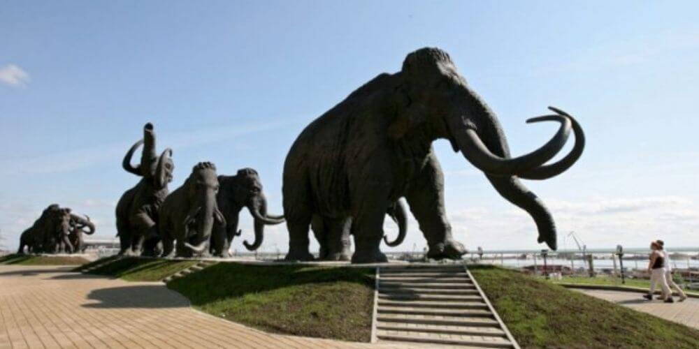 ✌️ Inician proyecto que busca revivir al extinto mamut lanudo combatiendo el cambio climático ✌️