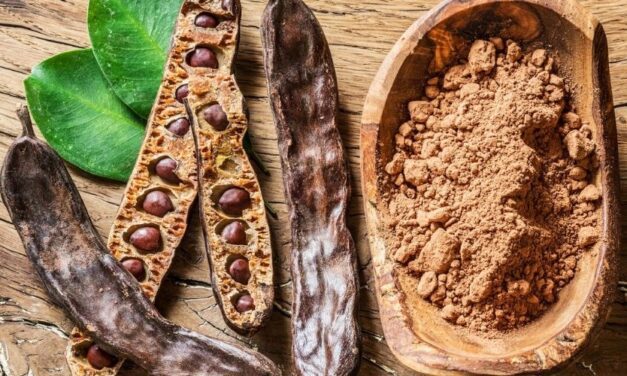✅ Beneficios terapéuticos y nutricionales del Algarrobo ✅