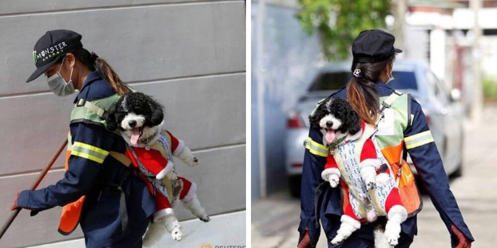 esta-mujer-llama-la-atencion-por-trabajar-limpiando-las-calles-con-su-perrito-en-su-espalda-thitirat-y-mazda-movidatuy.com