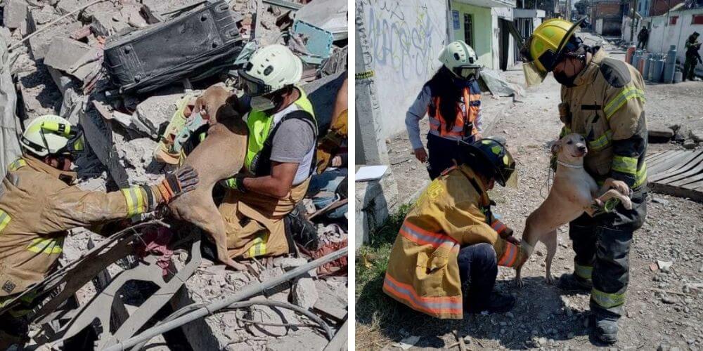 rescatistas-logran-salvar-a-un-perito-de-unos-escombros-luego-de-una-explosion-en-mexico-toma-clandestina-gasoducto-movidatuy.com