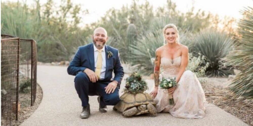 ✌️ Esta tortuga gigante llevó los anillos de boda de una pareja de veterinarios ✌️