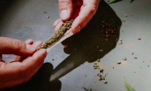 ✌️ Prohíben la venta de marihuana en Quebec a los no vacunados contra el virus ✌️