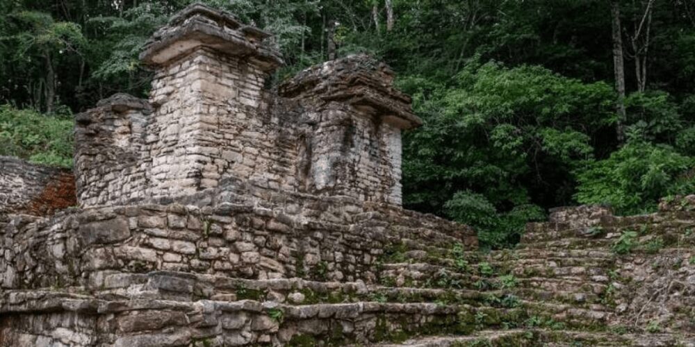 mexico-las-zonas-mayas-son-victimas-del-calentamiento-global-México-algas-movidatuy.com