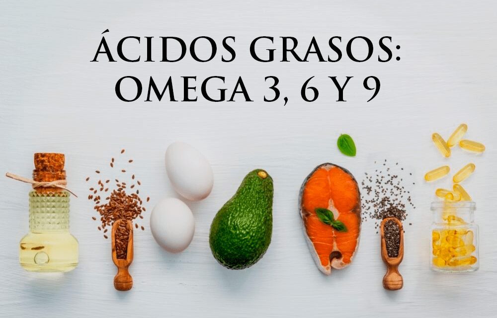 ✅Ácidos grasos: Omega 3, 6 y 9✅
