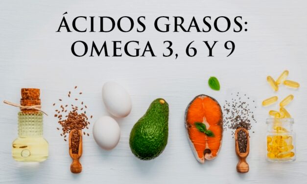 ✅Ácidos grasos: Omega 3, 6 y 9✅