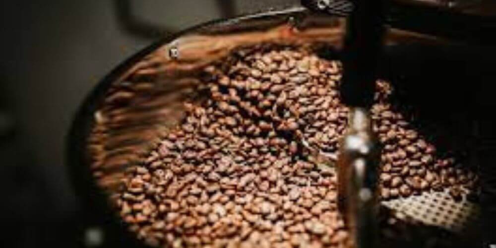 Miranda-cierra-2023-con-970-hectareas-de-cafe-cultivadas-durante-el-año-aumenta-la-produccion-de-cafe-movidatuy.com