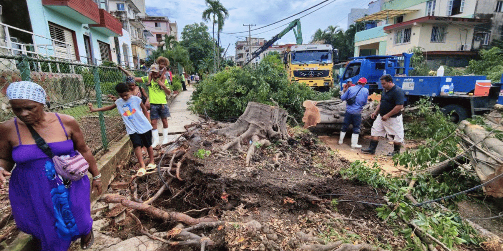 cuba-supervisan-trabajos-recuperacion-danos-huracan-rafael-internacionales-movidatuy.com