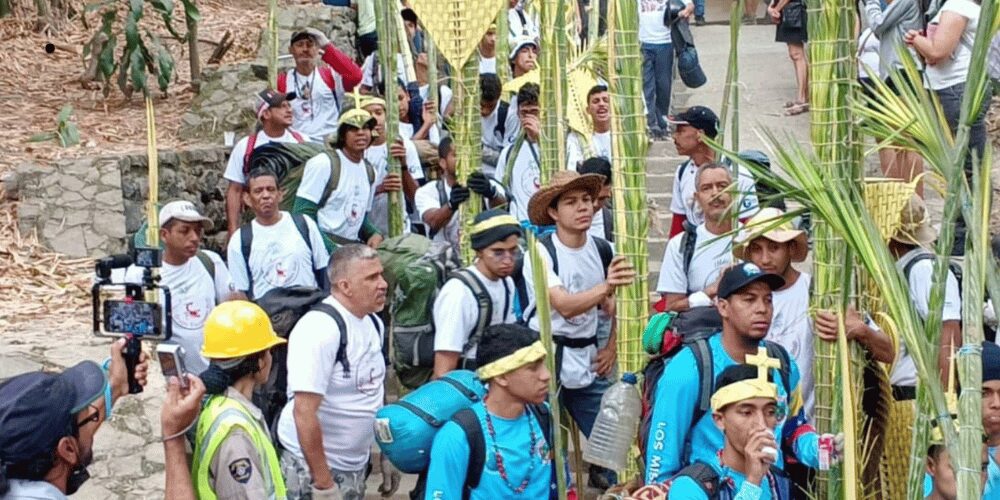 Palmeros de Chacao: fechas clave para obtener tu palma real bendecida este Domingo de Ramos